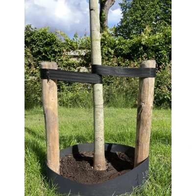 Abbildung von Baumgurt Rolle 25 Meter Nylon Pro