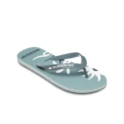 Abbildung von Quiksilver Molokai Screen Zehentrenner, Herren, Größe: 45, Ltg Kunststoff