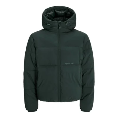 Abbildung von Jack &amp; Jones Steppjacke &quot;JORVESTERBRO PUFFER JACKET AW24 SN&quot;, mit Kapuze