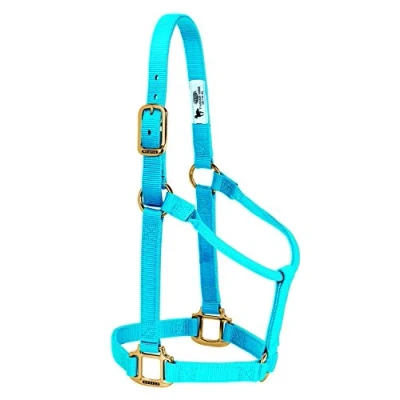 Abbildung von Weaver Leather Original Pferdehalfter, Nylon, nicht verstellbar, groß, Blau (Hurricane Blue)
