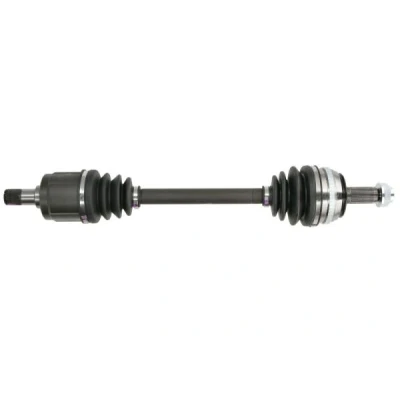 Abbildung von Antriebswelle PASCAL G24006PC