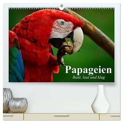 Abbildung von Papageien. Bunt, laut und klug (hochwertiger Premium Wandkalender 2025 DIN A2 quer), Kunstdruck in Hochglanz