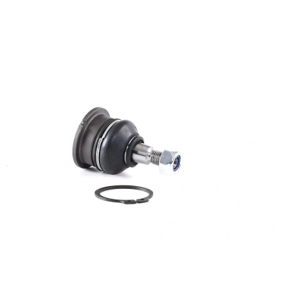 Abbildung von RIDEX 2462S0272 Traggelenk Vorderachse oben HONDA: Accord 6 Limousine, 7 Tourer