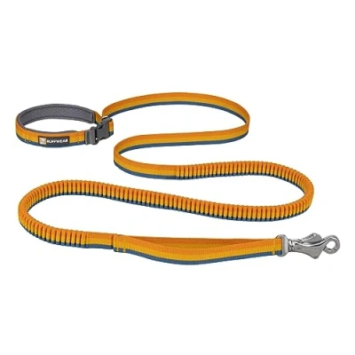 Abbildung von Ruffwear Jogging Leine Roamer in Gelb Blau,