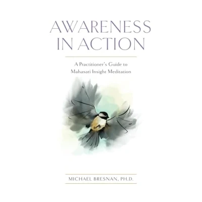 Abbildung von Awareness in Action: A Practitioner&#039;s Guide to Mahasati Insight Meditation