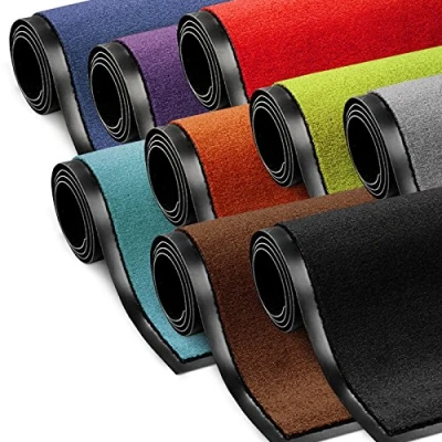 Abbildung von etm Schmutzfangmatte ColorLine Türmatte in vielen Größen Fußmatte für Innenbereich Rutschfester Teppich Flur, Haustür, Eingang, Eingangsbereich, Vorzimmer Silbergrau 90x120 cm