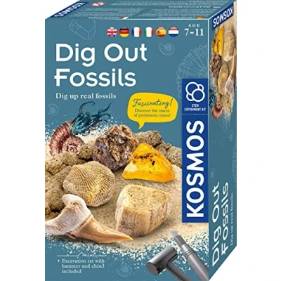 Abbildung von KOSMOS ‎616922 Fossilien Ausgrabungs Set, Grabe echte Versteinerungen und Bernstein selbst aus, mit Hammer Meißel, Experimentierset für Kinder ab 7 Jahre, mehrsprachige Anleitung