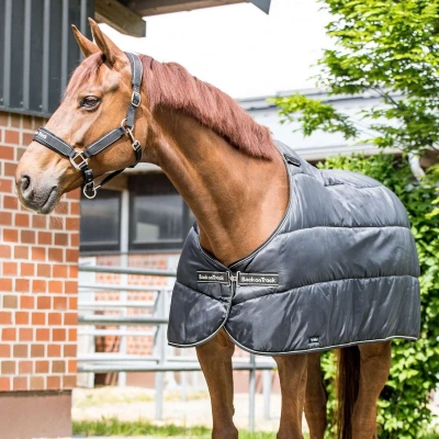 Abbildung von Back on Track Rhyolite Insulated Liner 100g Schwarz 145/198 Agradi.deVerkauft von Agradi
