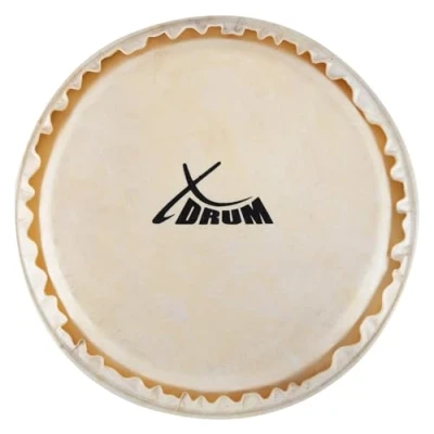 Abbildung von XDrum Bongo Fell 7&quot; Natur für Trommel Durchmesser: 7 Zoll (ca. 178 mm)