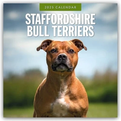 Abbildung von Staffordshire Bull Terriers Bullterrier 2025 16 Monatskalender: Original Red Robin Publishing Ltd Kalender [Mehrsprachig] [Kalender]