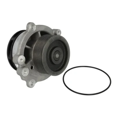Abbildung von THERMOTEC WP DF113 Wasserpumpe