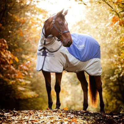Abbildung von Rambo by Horseware Autumn Series Turnout Navy/Grau 155/206