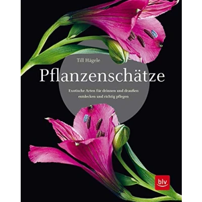 Abbildung von Pflanzenschätze: Exotische Arten für drinnen und draußen entdecken richtig pflegen (BLV Pflanzenpraxis)