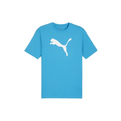 Abbildung von Puma Teamrise LOGO Tshirt print, Herren, Größe: XL, Blauweiss