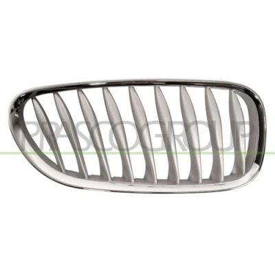 Abbildung von BLIC 6502 07 0089994P Kühlergrill vorne rechts grau BMW: Z4 Roadster