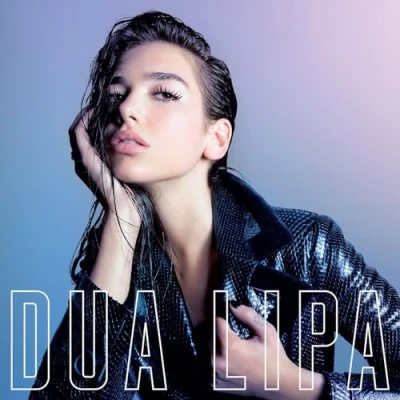Abbildung von LIPA, DUA LIPA (PINK MARBLE LP) (1