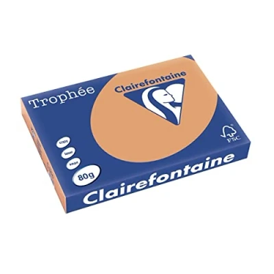 Abbildung von Clairefontaine 1254C Ries mit 500 Blatt Druckerpapier / Kopierpapier Trophée, DIN A3 (29,7x42 cm), 80g, Kamelbraun Pastellfarbe, 1