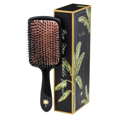 Abbildung von Fan Palm Large Paddle Brush Big Star