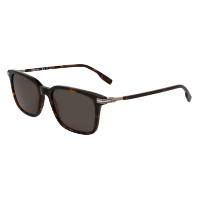 Abbildung von Lacoste Sonnenbrille, Herren, Größe: One Size, Dark havana