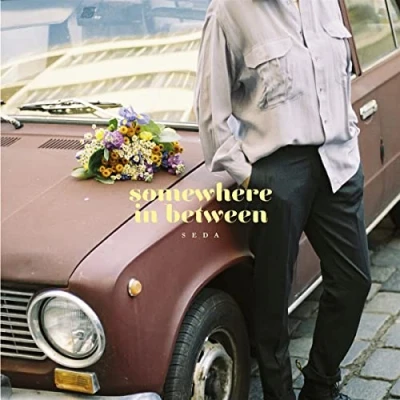 Abbildung von Somewhere in Between (Lim.ed.+Dl) [Vinyl LP]