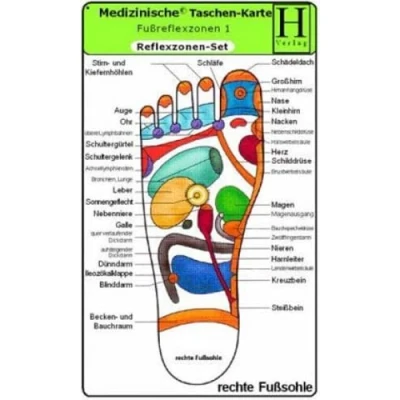 Abbildung von Reflexzonen Set Medizinische Taschen Karte: Fussreflexzonen Therapie Fusssohle, Fussrücken + Aussenseiten /Handreflexzonen Therapie: ... Seiten, Handreflexzonen