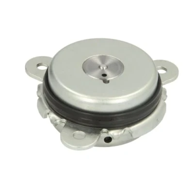 Abbildung von PIERBURG 7.06117.12.0 Zentralmagnet, Nockenwellenverstellung FORD: FOCUS 3 Turnier