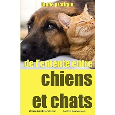 Abbildung von Guide pratique de l&#039;entente entre chiens et chats