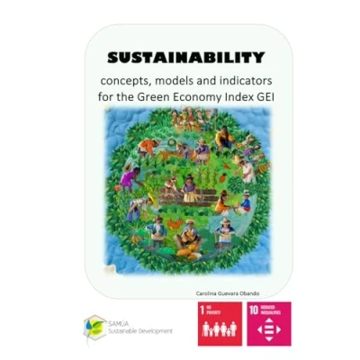 Abbildung von Sustainability: Concepts, models and indicators for the Green Economy Index (GEI)