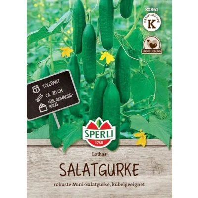 Abbildung von Sperli Salatgurkensamen Lothar, F1 80861 robuste Mini Salatgurke, kübelgeeignet Inhalt für 7 Pflanzen Samen Gemüse, Gemüsesamen, Gemüse