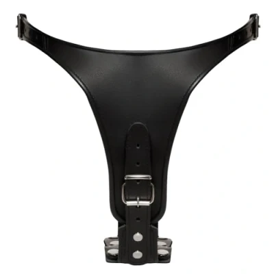 Abbildung von String aus Leder mit 2 Innen Dildos Latex