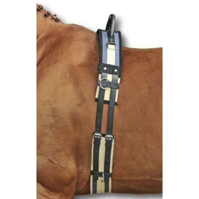 Abbildung von HKM Longiergurt mit Handgriff Schwarz Pony