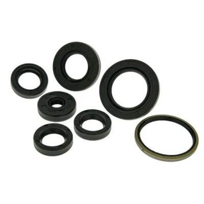 Abbildung von 2EXTREME Wellendichtring Satz Motor kompatibel für Piaggio Liberty 50 2T/4T, NRG, NTT