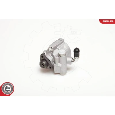 Abbildung von ESEN SKV 10SKV003 Hydraulikpumpe hydraulisch 100bar Druckbegrenzungsventil Flügelzellenpumpe Aluminium Drehrichtung im Uhrzeigersinn