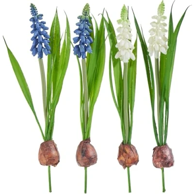 Abbildung von Kunstblume Perlhyazinthen, DPI, mit Zwiebel