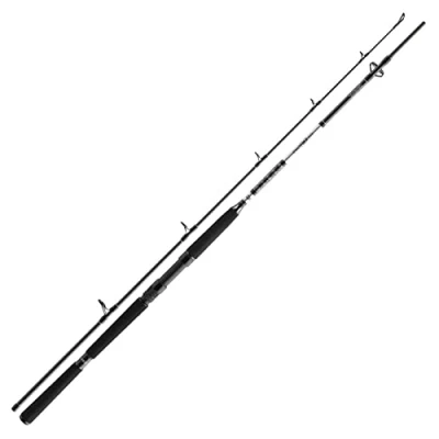 Abbildung von Daiwa BG Boat 2,10m 150 400g Meeresrute