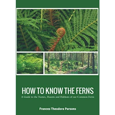 Abbildung von HOW to KNOW the FERNS: A Guide Names, Haunts and Habitats of our Common Ferns