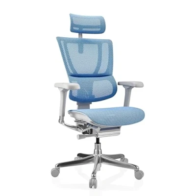 Abbildung von hjh OFFICE Bürostuhl ergonomisch ERGOHUMAN Slim G GEN2 Originales Design, Drehstuhl mit Flexibler Lordosenstütze, Netz Blau