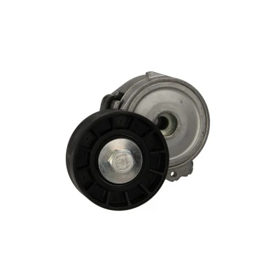 Abbildung von SNR GA359.13 Spannrolle FORD: S Max Mk1, KUGA 1, Focus 2 Schrägheck, PEUGEOT: 307 SW, 807, 508 I CITROËN: C5 III Kombi, C8, C4 Schrägheck