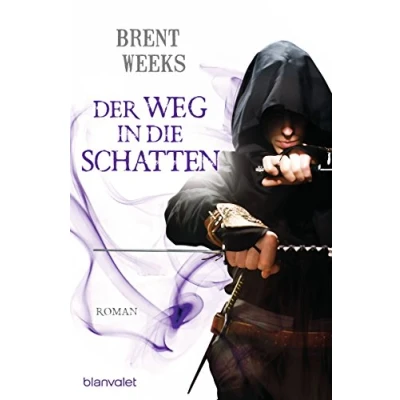 Abbildung von Der Weg in die Schatten: Roman (Schatten Trilogie (Night Angel), Band 1)