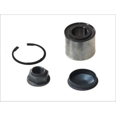 Abbildung von SNR R155.89 Radlagersatz 62 RENAULT: CLIO 2, 3, Kangoo II Express