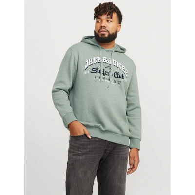 Abbildung von Jack &amp; Jones PLUS SIZE LOGO Kapuzenpullover, Herren, Größe: 4XL, Iceberg green