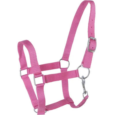 Abbildung von HB Nylon Mini Fohlenhalfter