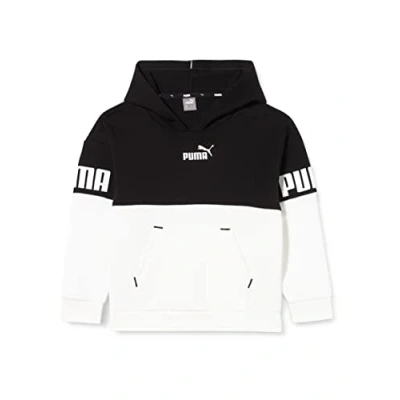 Abbildung von Puma Power Colorblock Hoodie FL G
