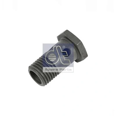 Abbildung von DT Spare Parts 3.15120 Hohlschraube