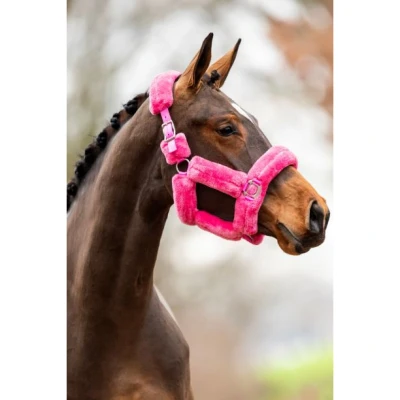 Abbildung von HB Showtime Halfter Allround Teddy Rosa Pony