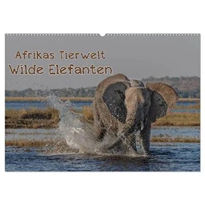 Abbildung von Afrikas Tierwelt Wilde Elefanten (Wandkalender 2025 DIN A2 quer), CALVENDO Monatskalender