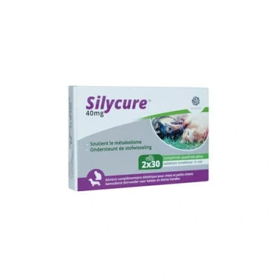 Abbildung von Fendigo Silycure 40 mg 60 Tabletten