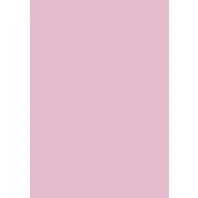 Abbildung von 25 x HEYDA Fotokarton 300g/qm 50x70cm rosa