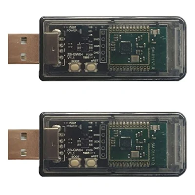 Abbildung von Citywalk 2X ZigBee 3.0 Silicon Labs Mini EFR32MG21 Universal Open Hub Gateway USB Dongle Chipmodul ZHA NCP OpenHAB