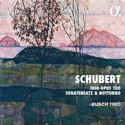 Abbildung von Schubert: Trio Opus 100 / Sonatensatz Notturno